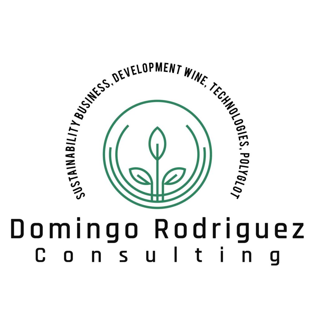Domingo Rodriguez Consulting logo