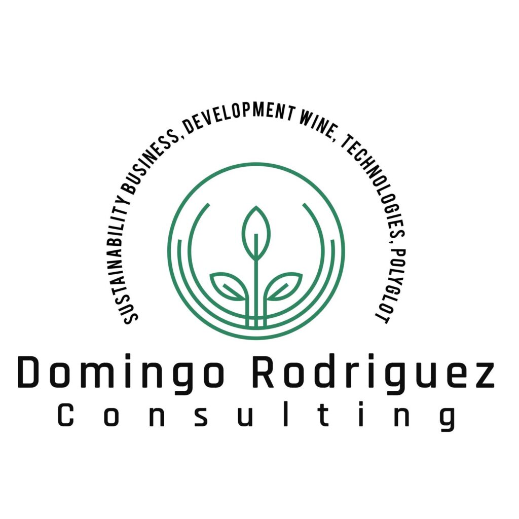 Domingo Rodriguez Consulting logo