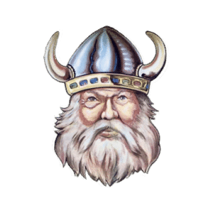 Viking head